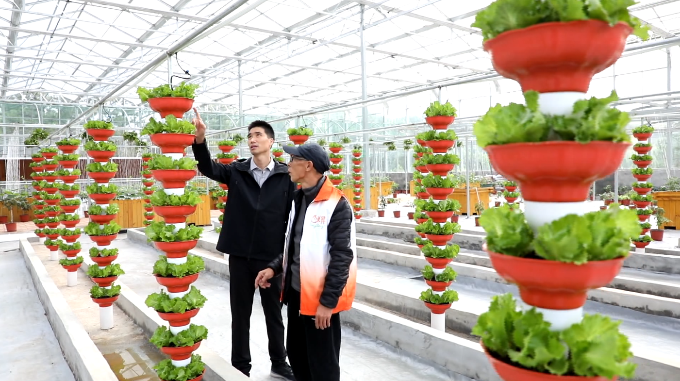 j9数字站(中国集团)公司官网